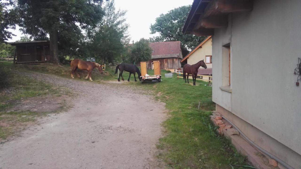 Farma Hermina Йилемнице Экстерьер фото